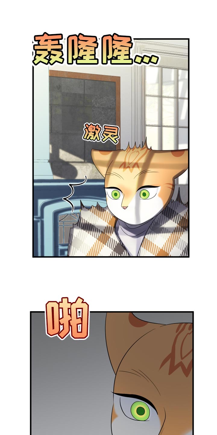 灵猫欧米伽漫画免费看漫画,第109话2图