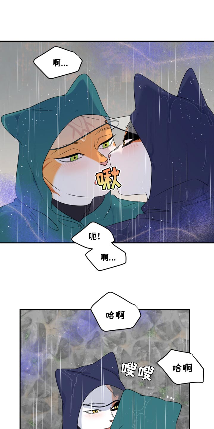 灵猫欧米伽免费阅读漫画,第53话2图