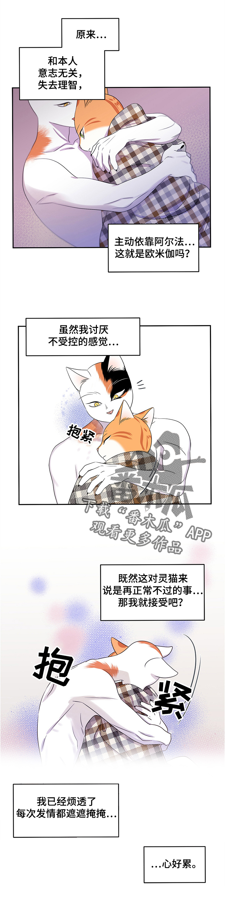 灵猫欧米伽免费阅读漫画,第8话1图