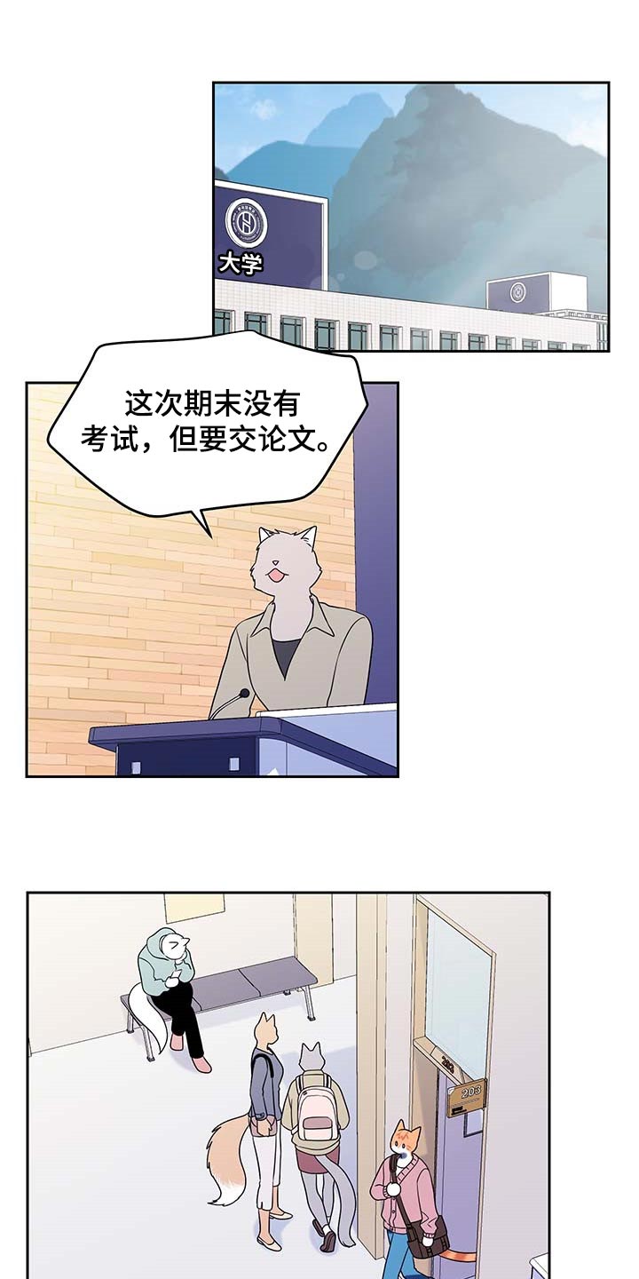 灵猫欧米伽在线免费看漫画漫画,第41话1图