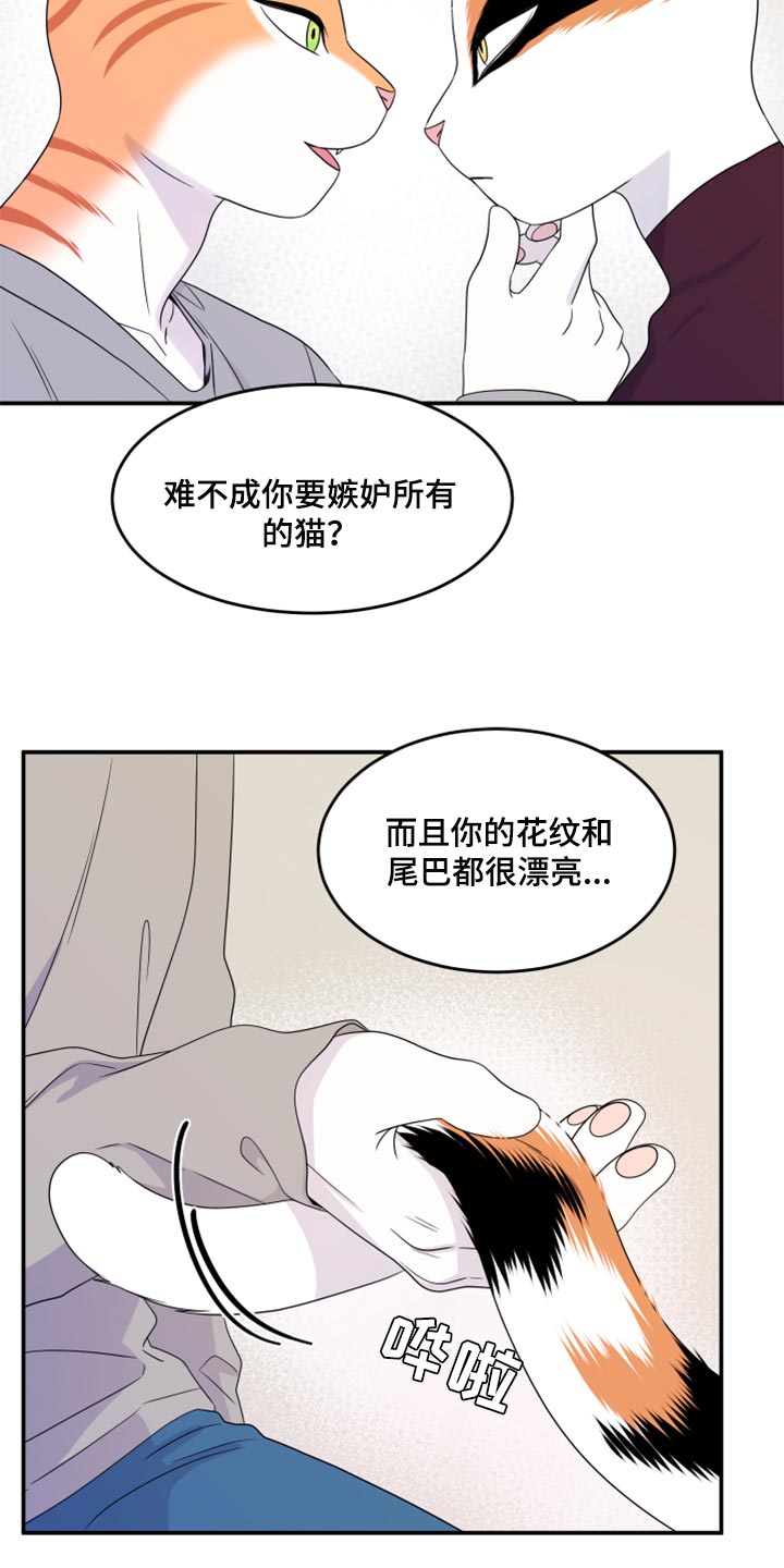 欧米伽3对猫的作用漫画,第55话1图