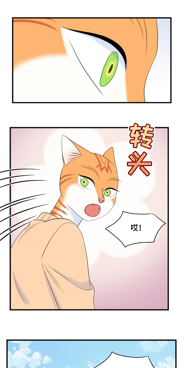 灵猫欧米伽合集漫画,第68话1图