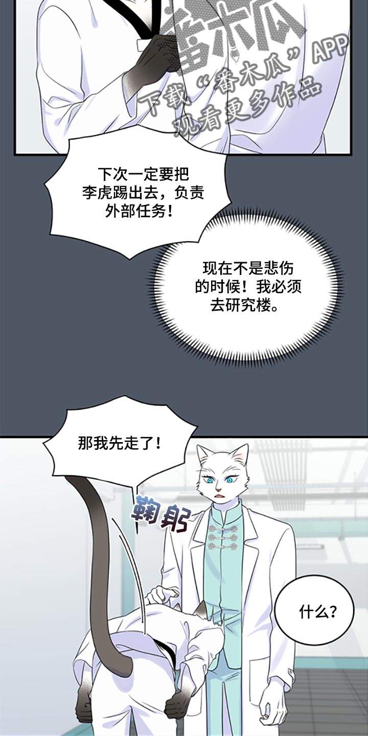 灵猫欧米伽第三季156章漫画,第78话2图