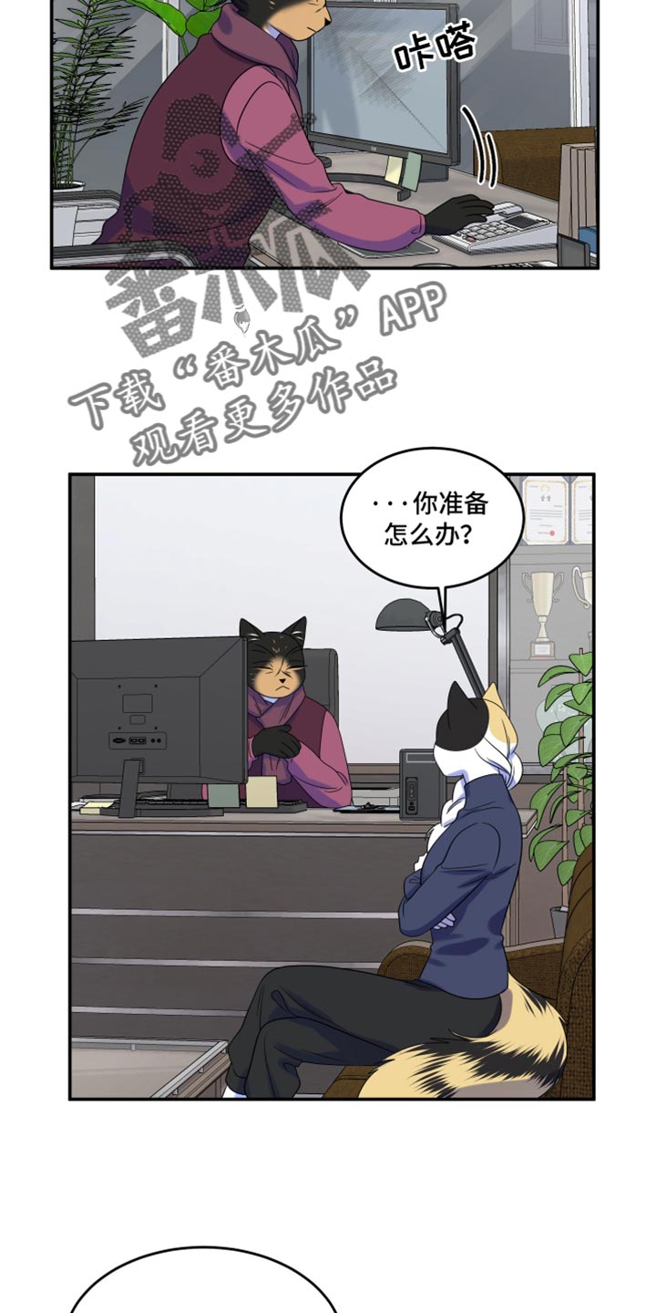 灵猫传汪苏泷漫画,第115话1图