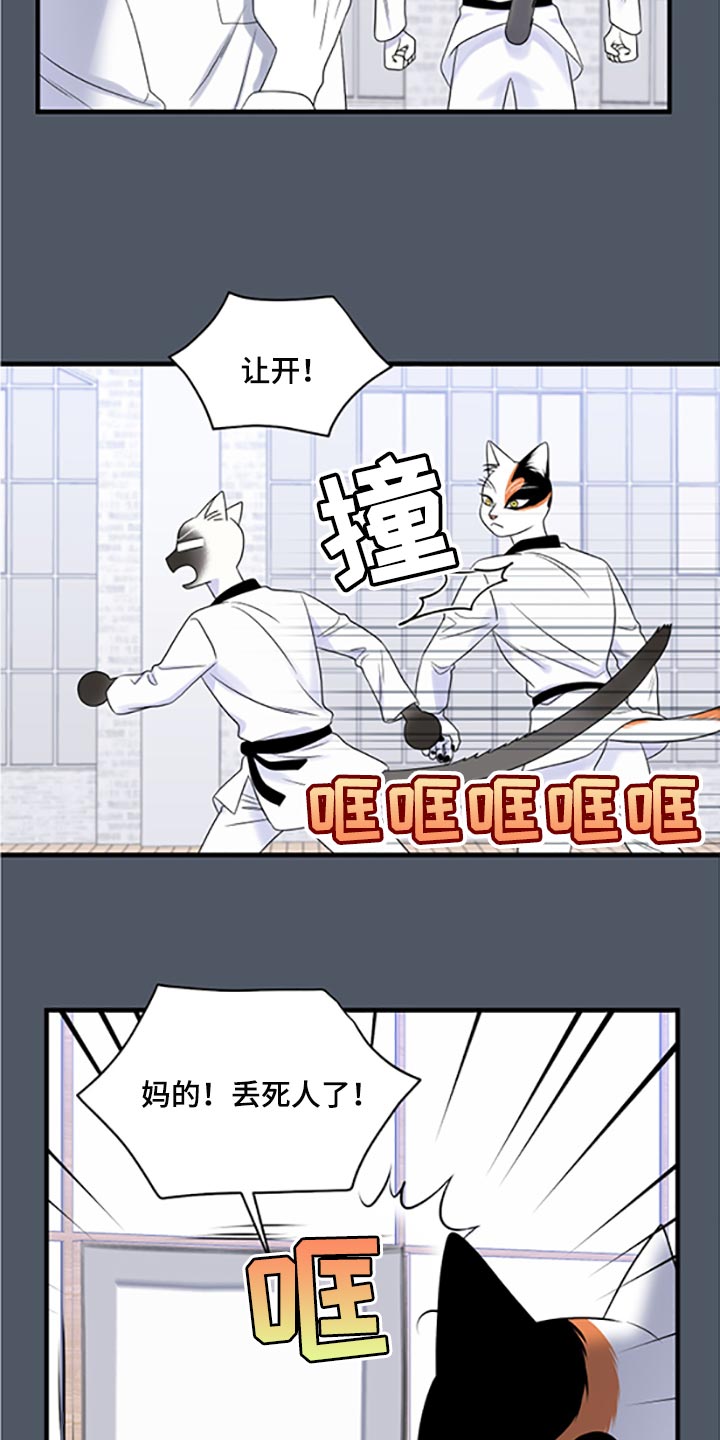 灵猫欧米伽漫画全集免费下拉式漫画,第77话1图