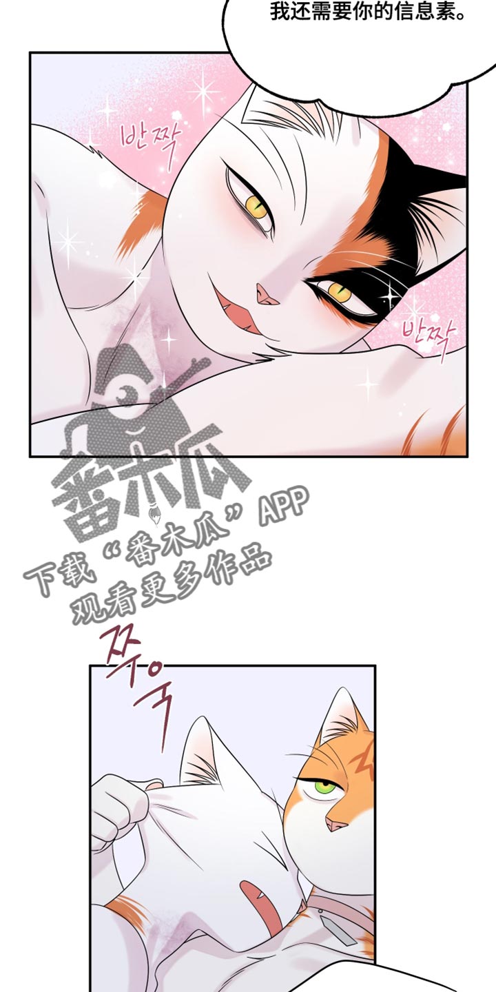 灵猫欧米伽漫画,第168话2图