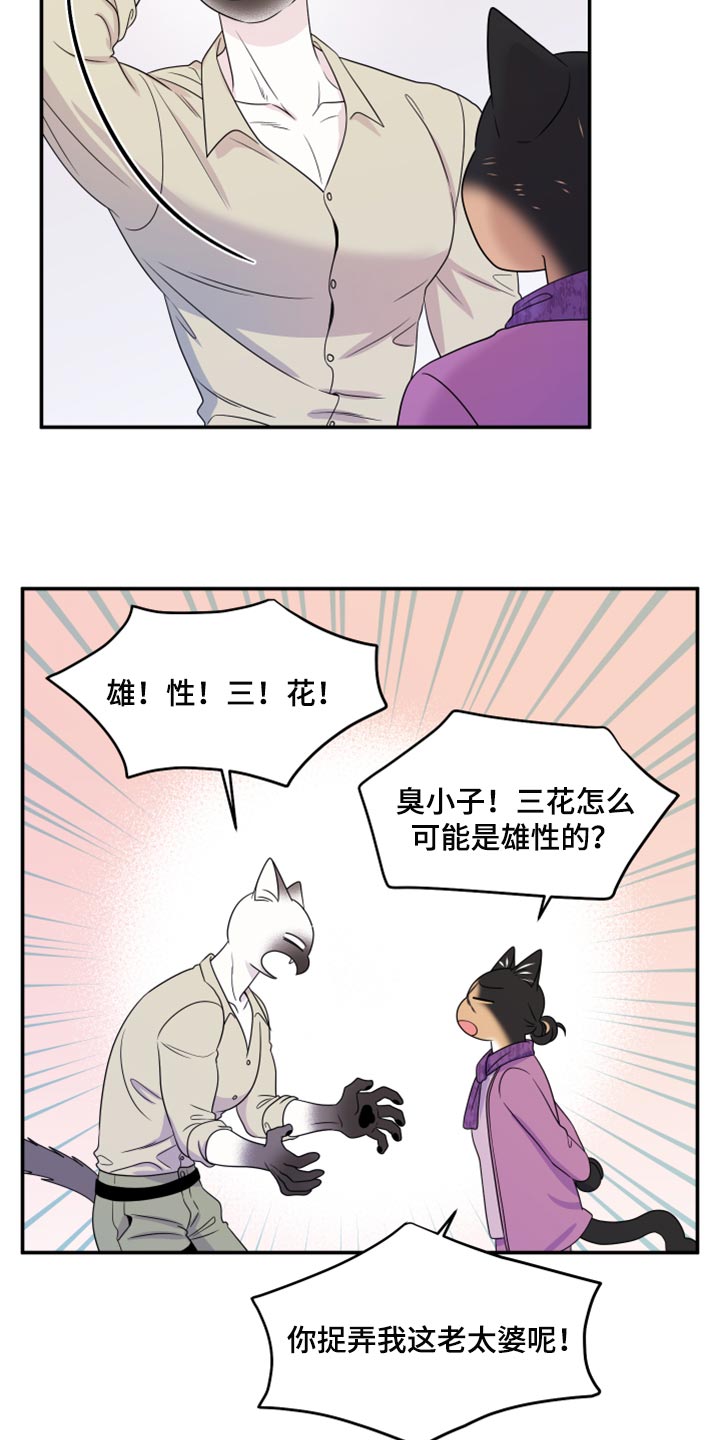 灵猫欧米伽动漫漫画,第55话2图