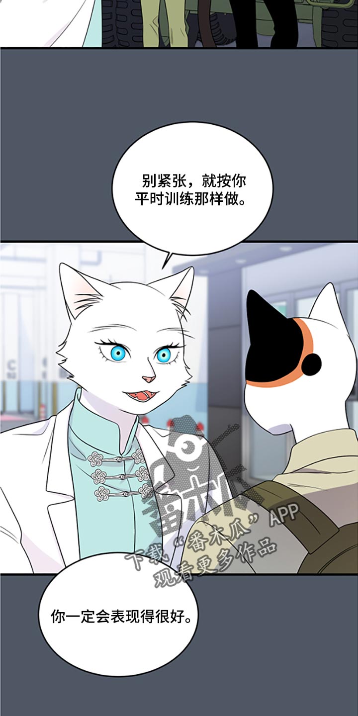 灵猫欧米伽免费阅读漫画,第79话1图