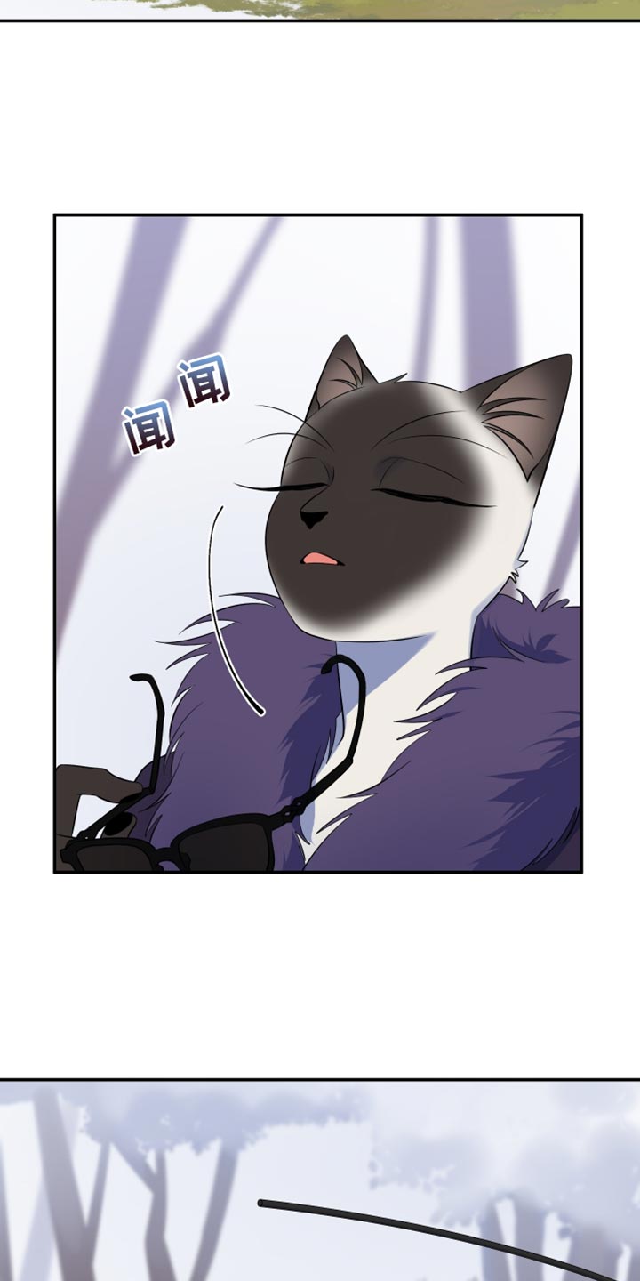 灵猫欧米伽完整版漫画,第146话2图