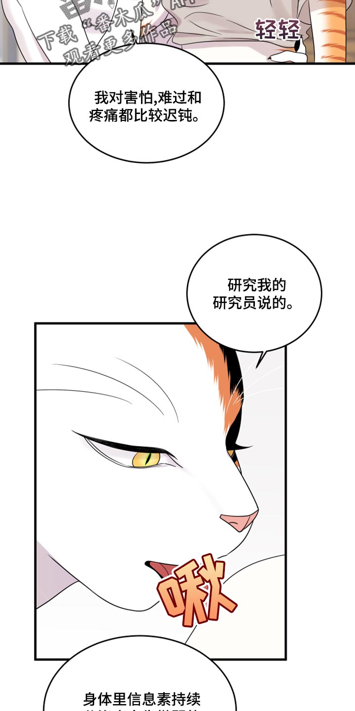 灵猫欧米伽完整版漫画,第91话2图