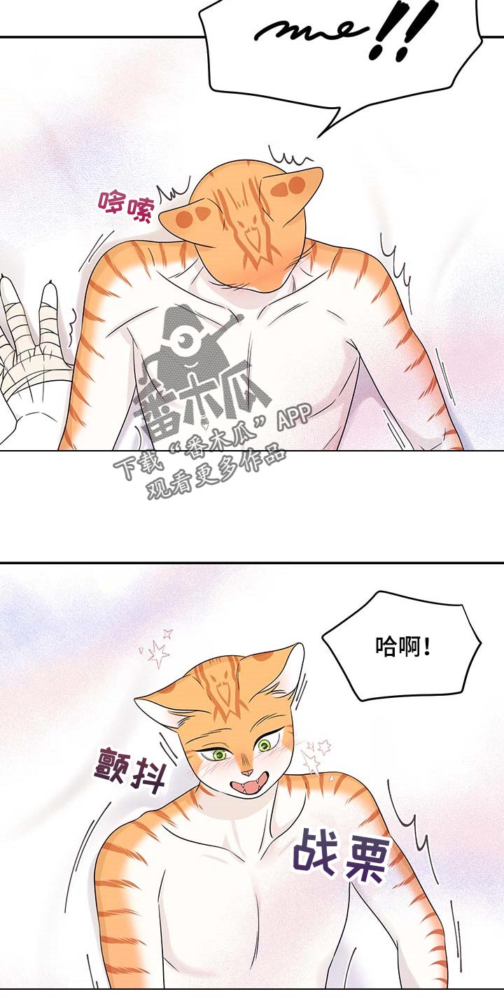 灵猫欧米伽漫画全集免费下拉式漫画,第47话2图