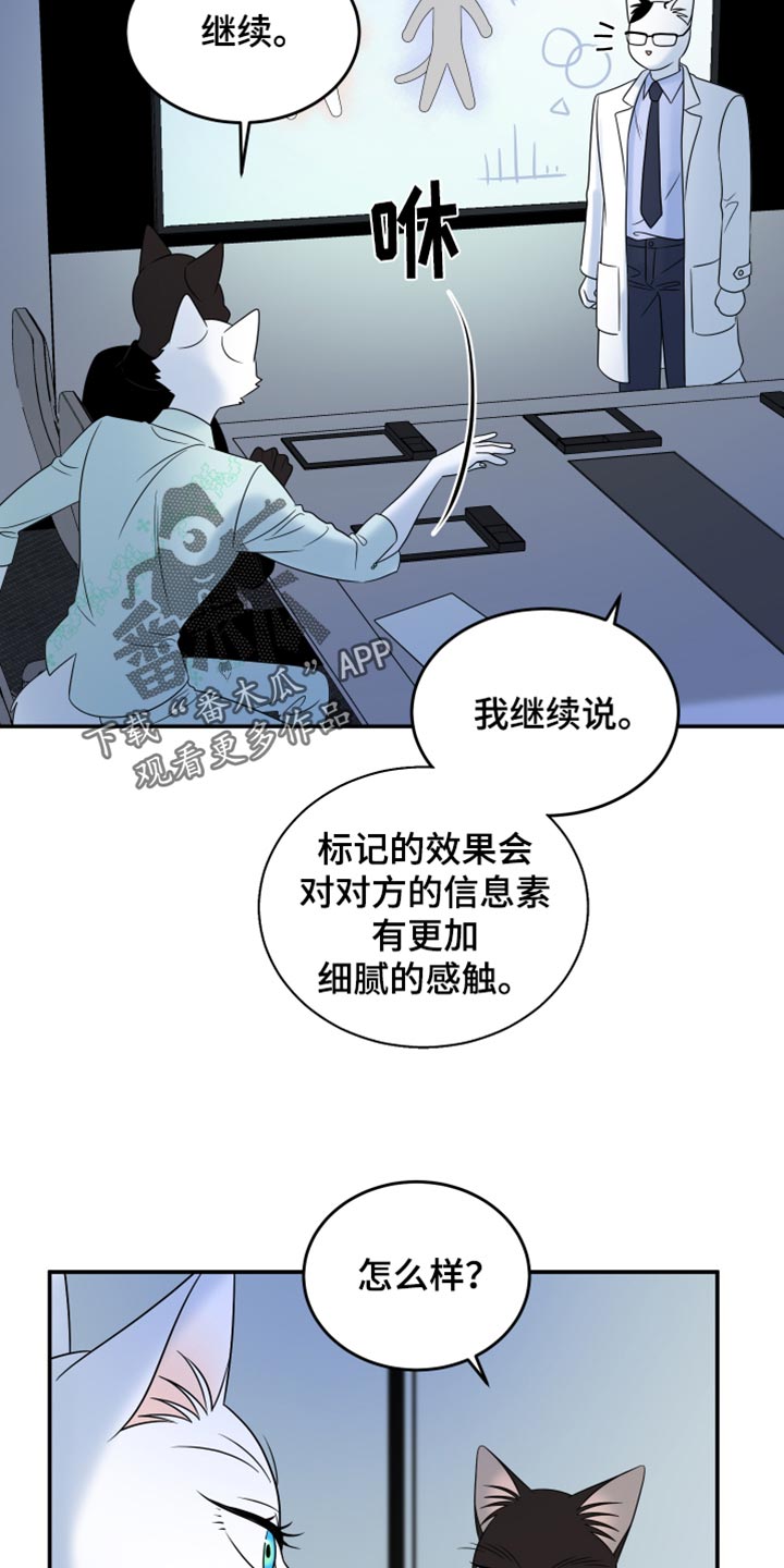 灵猫欧米伽第三季什么时候出漫画,第120话2图