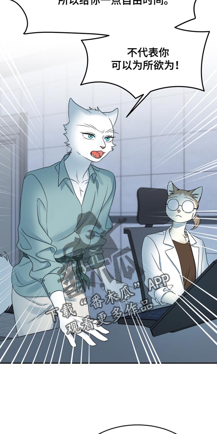 漫画灵猫欧米伽漫画,第163话1图