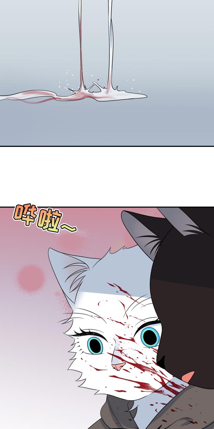 灵猫欧米伽合集漫画,第140话2图