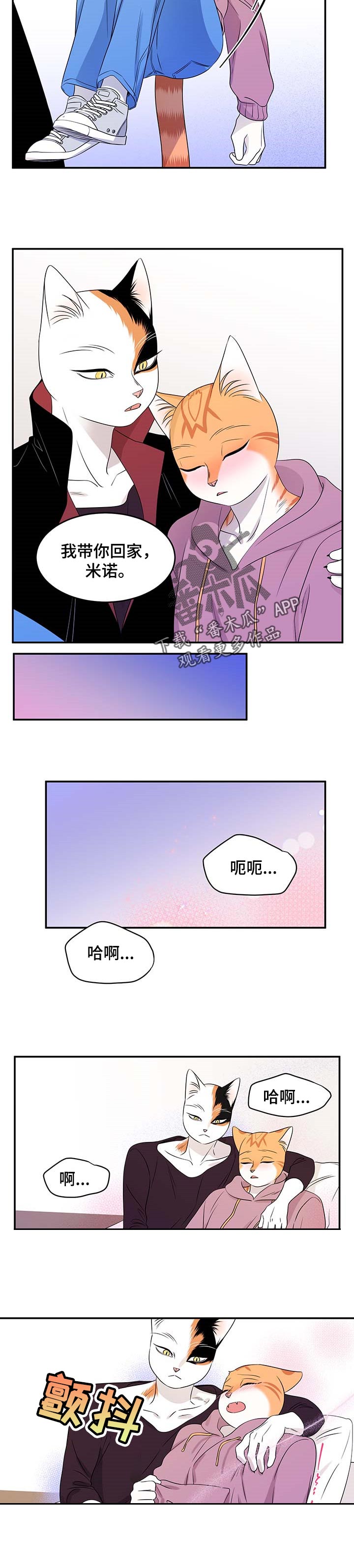 灵猫欧米伽免费阅读漫画,第29话1图