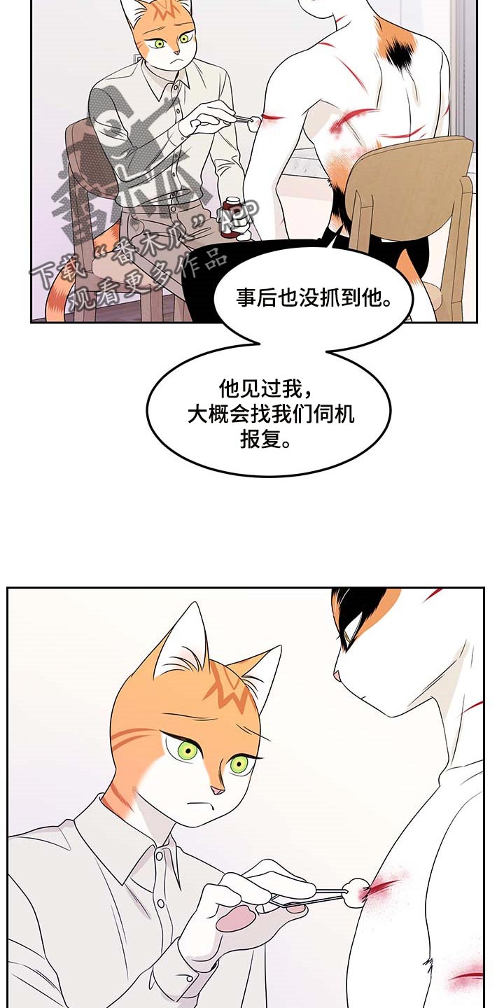 灵猫欧米伽完整版漫画,第45话2图