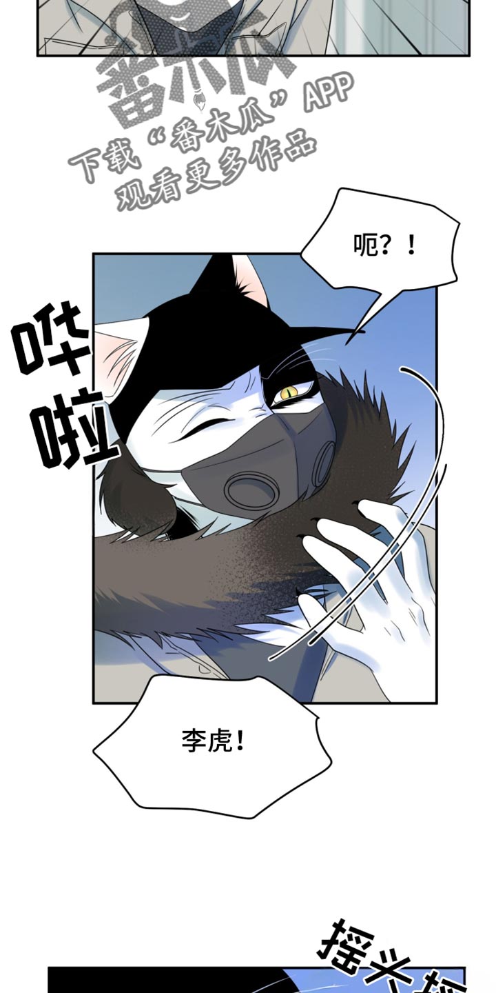 灵猫欧米伽虐不虐漫画,第130话2图