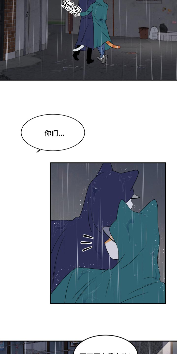 灵猫欧米茄画涯漫画,第54话1图