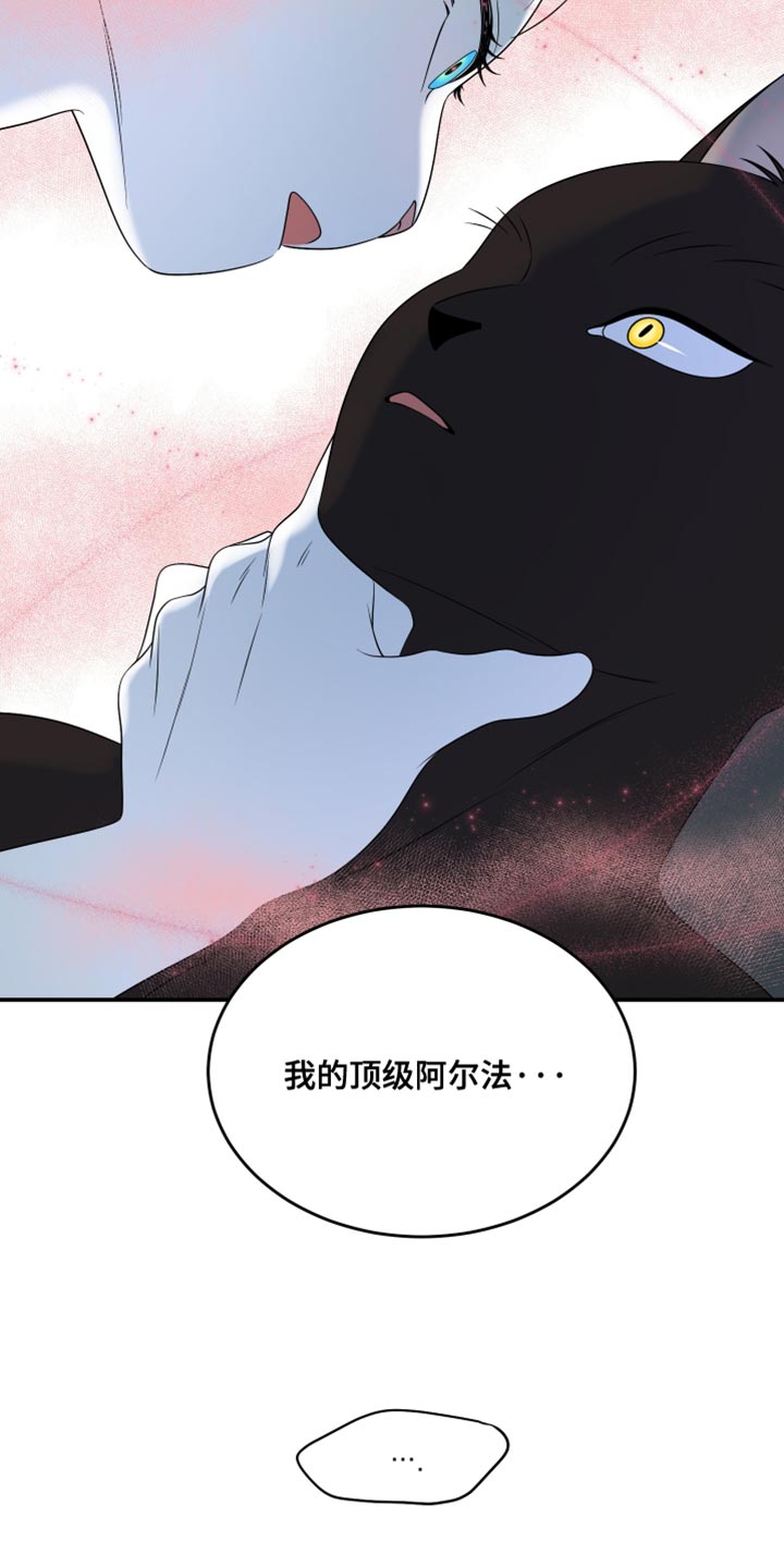 灵猫欧米伽漫画,第152话1图