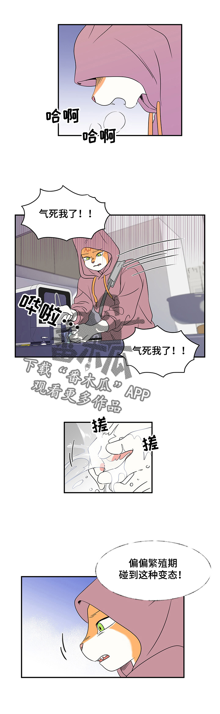 灵猫欧米伽是什么意思漫画,第2话2图