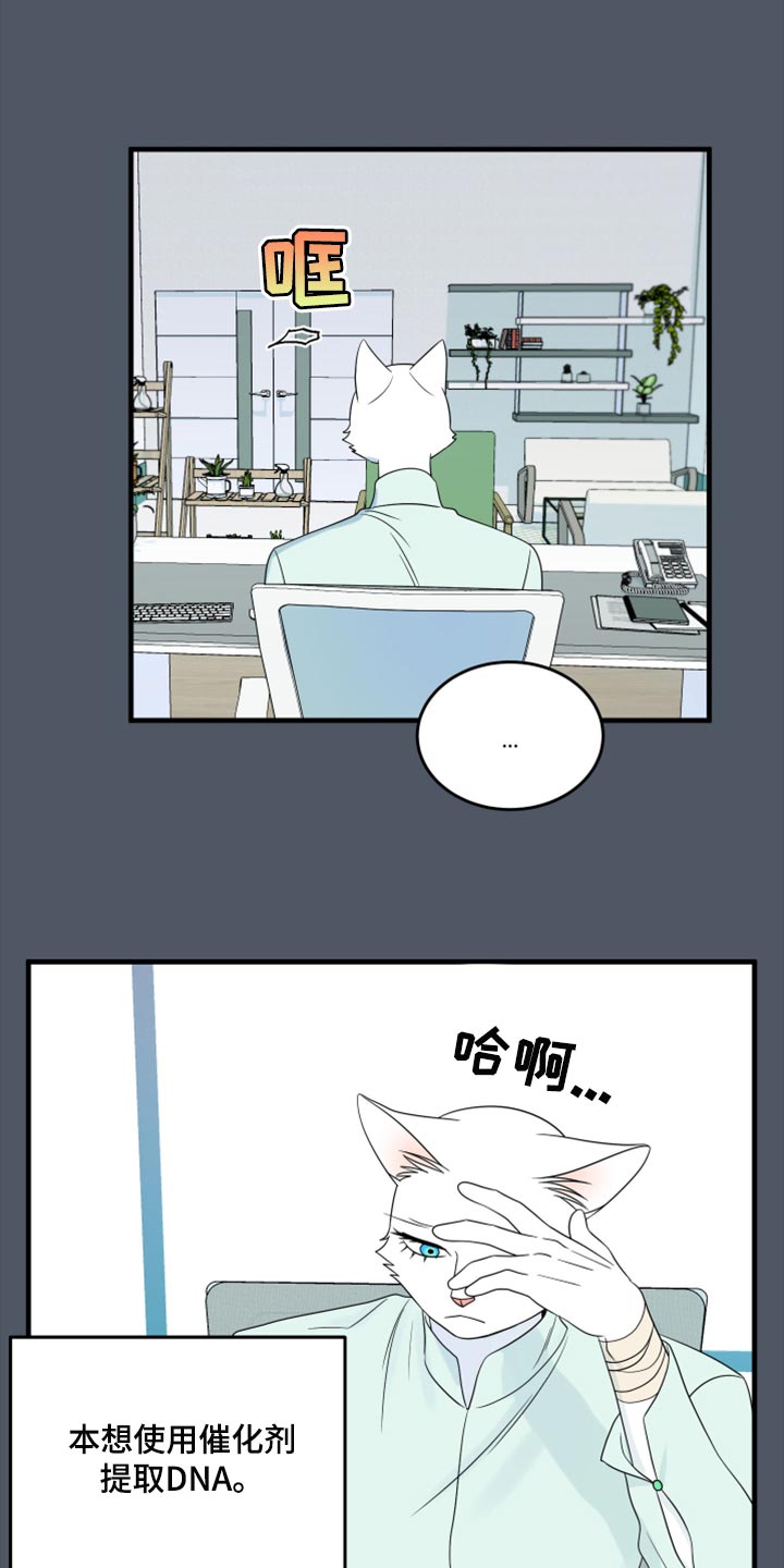 灵猫欧米伽免费阅读漫画,第86话2图