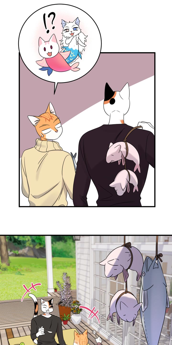 灵猫欧米伽免费漫画,第87话1图