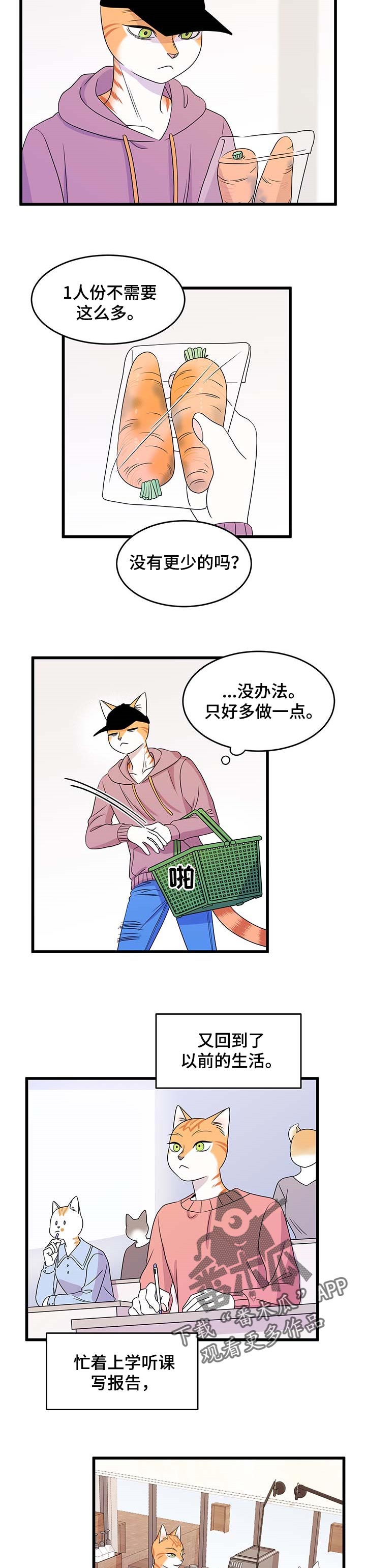 灵猫欧米伽是双男主吗漫画,第26话2图