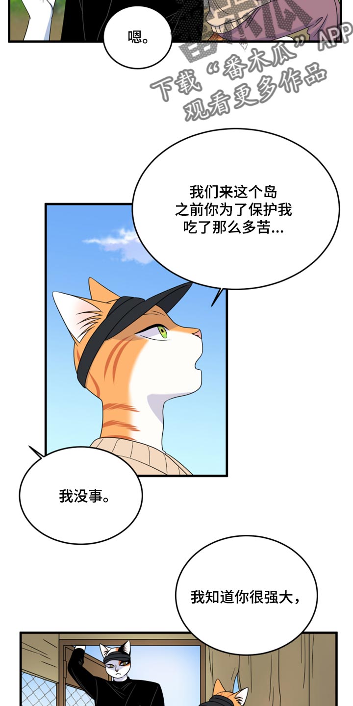 灵猫欧米伽完整版漫画,第87话1图