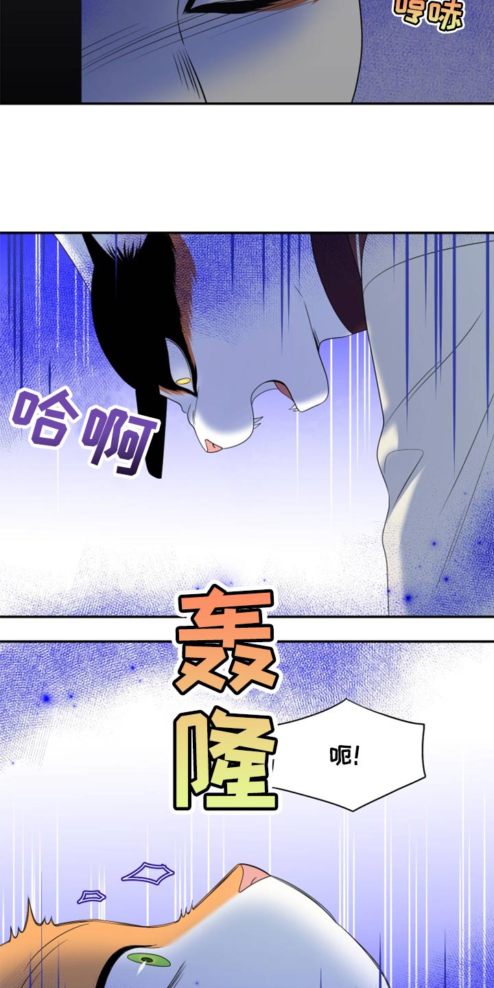 灵猫欧米伽在哪里免费看漫画,第61话2图