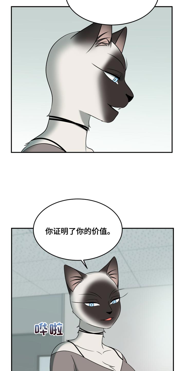 灵猫欧米伽漫画系列漫画,第149话1图