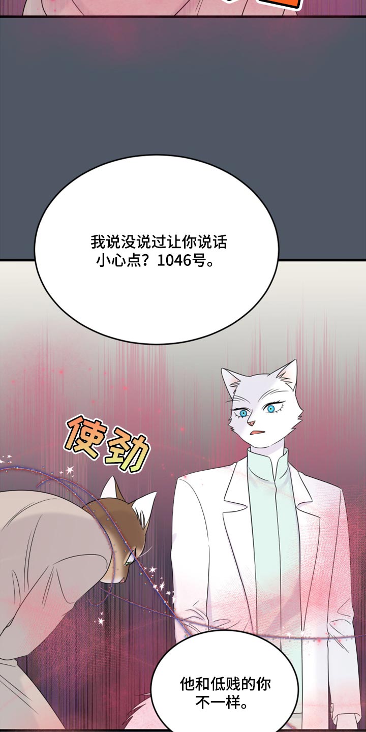 灵猫欧米伽3漫画,第86话2图