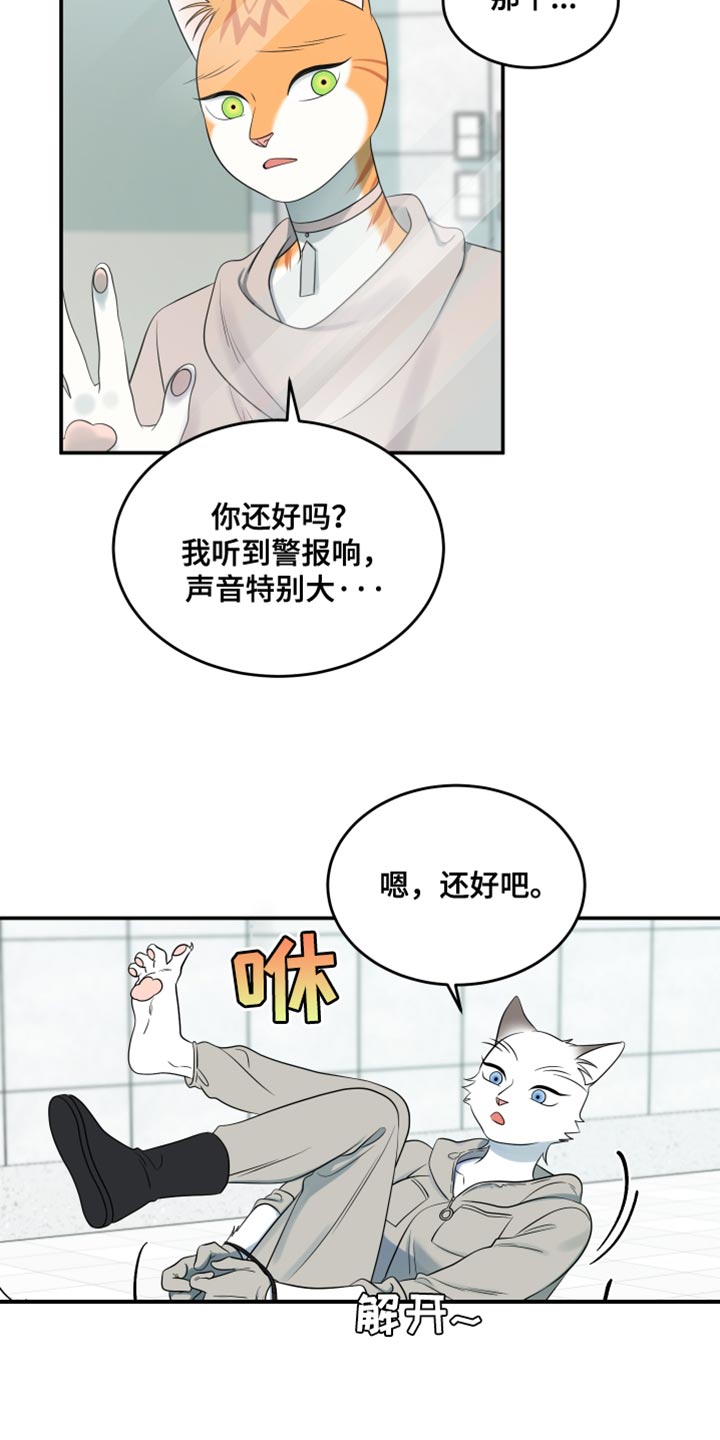 灵猫欧米伽是双男主吗漫画,第134话2图