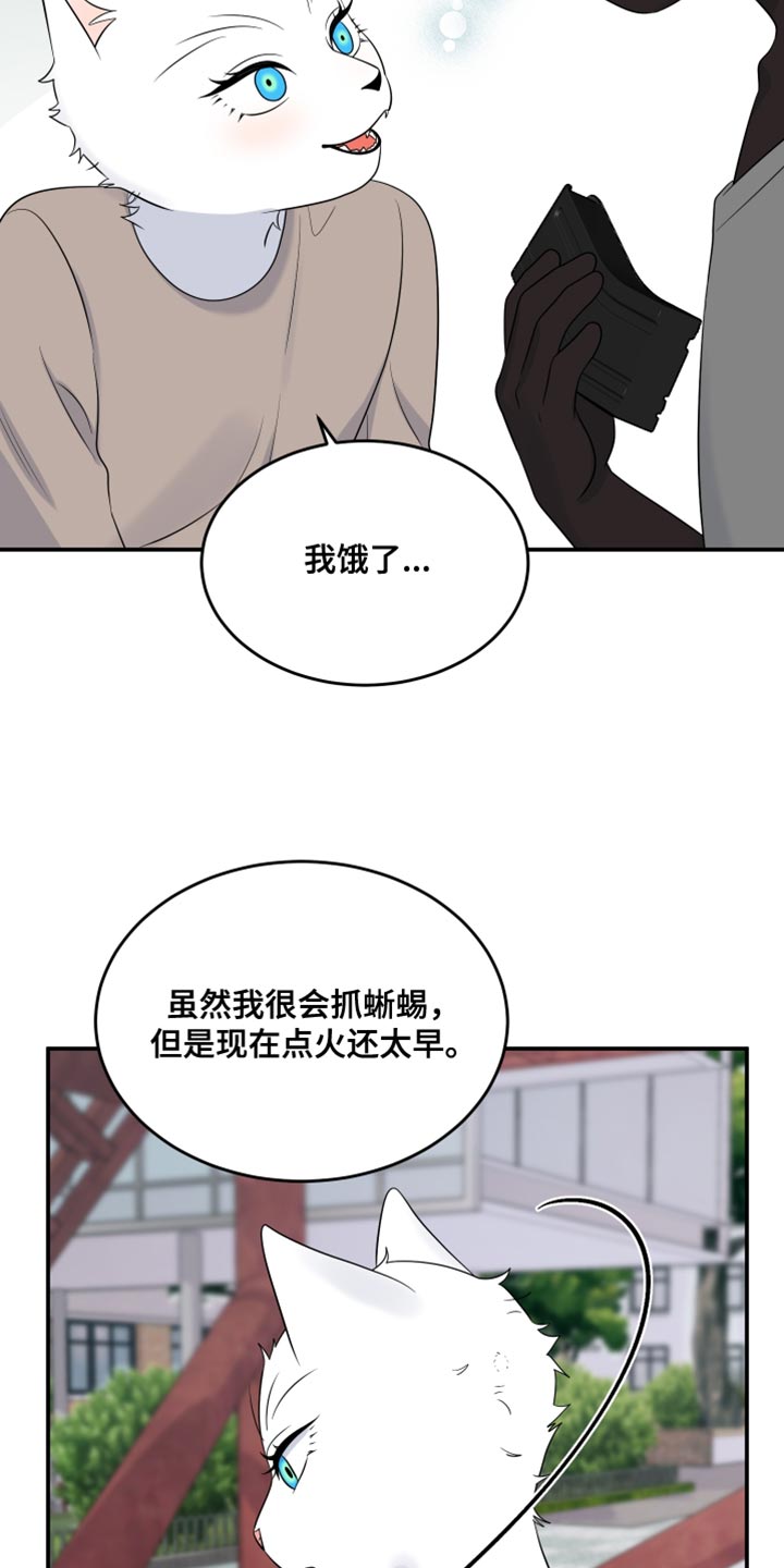 灵猫欧米伽免费漫画,第142话2图