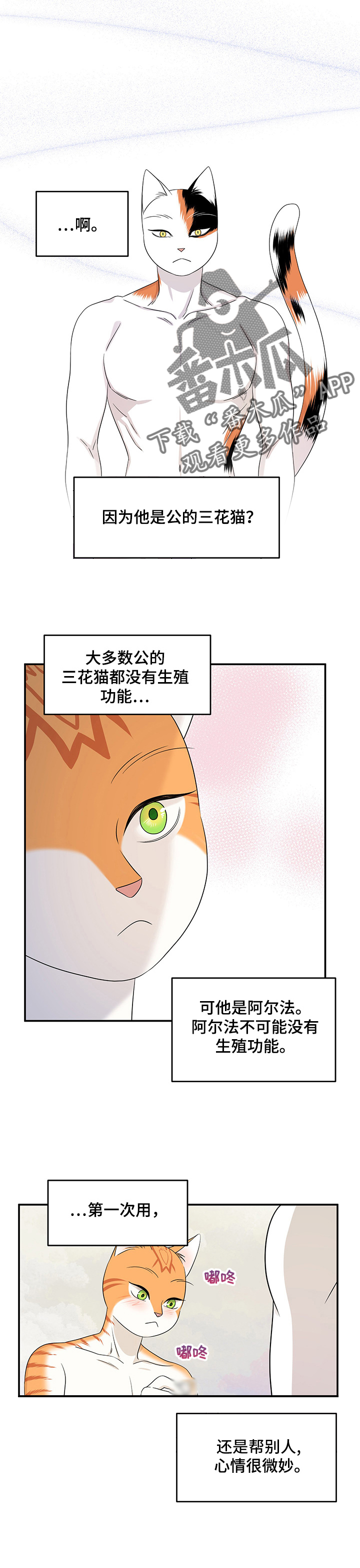 灵猫欧米伽是双男主吗漫画,第13话1图