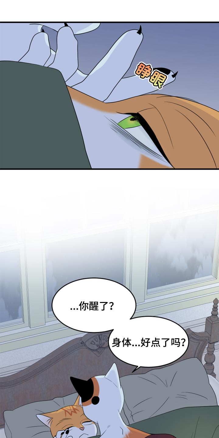 灵猫欧米伽第三季什么时候出漫画,第66话2图