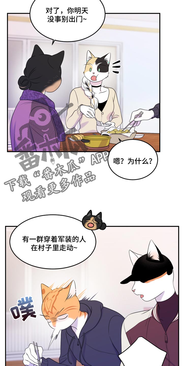 灵猫欧米伽最新话漫画,第59话1图