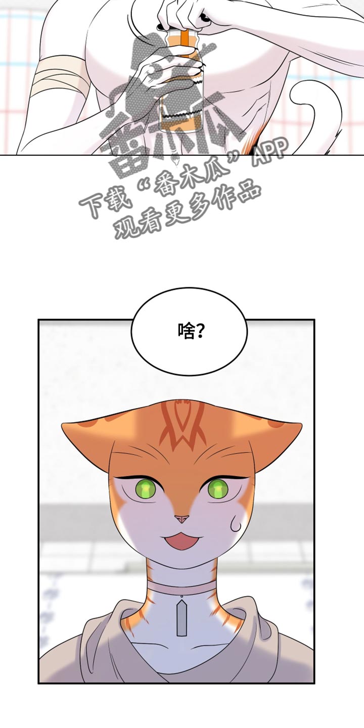 灵猫欧米伽漫画免费观看漫画,第168话2图