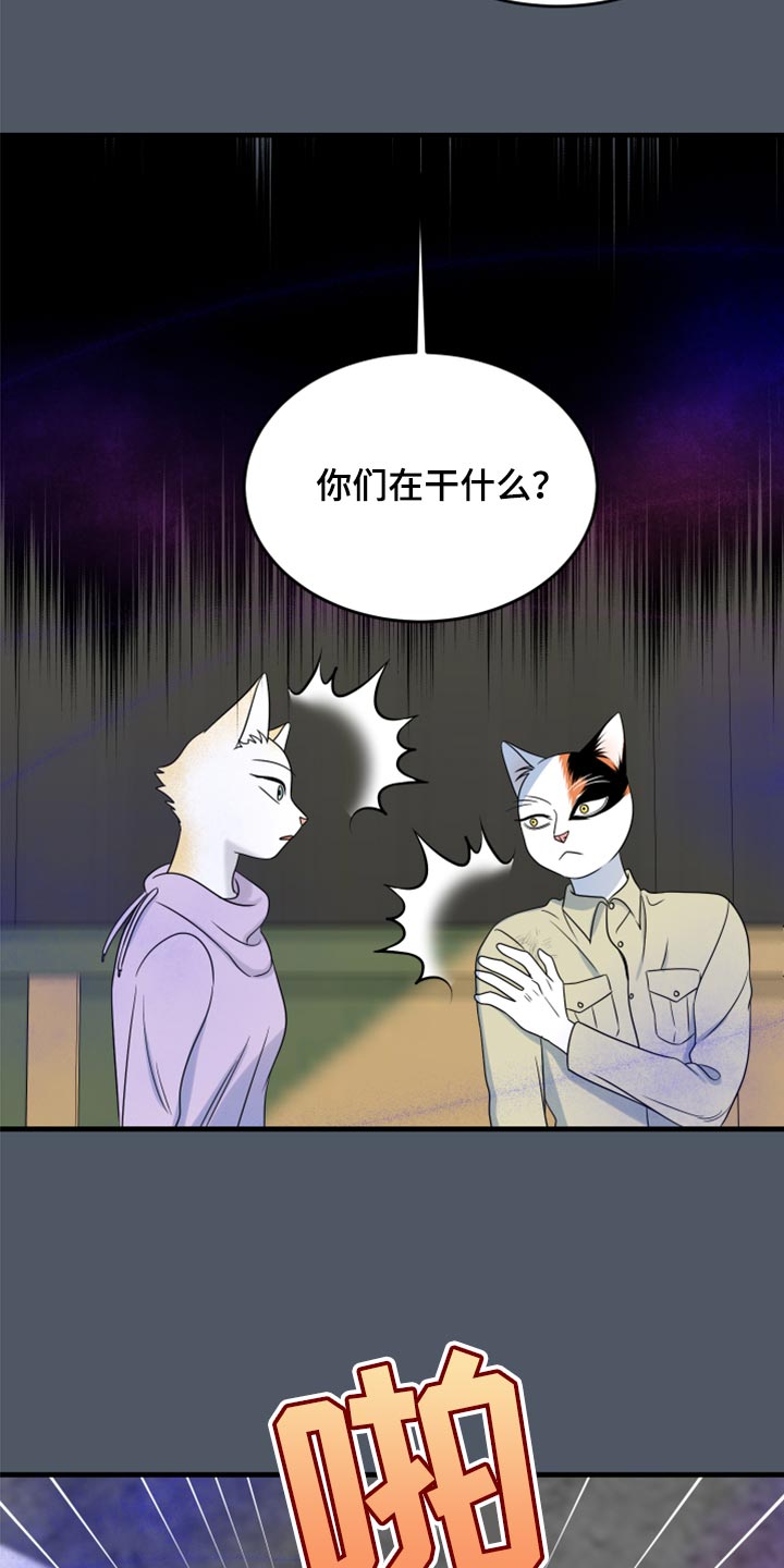 灵猫欧米伽完整版漫画,第83话1图