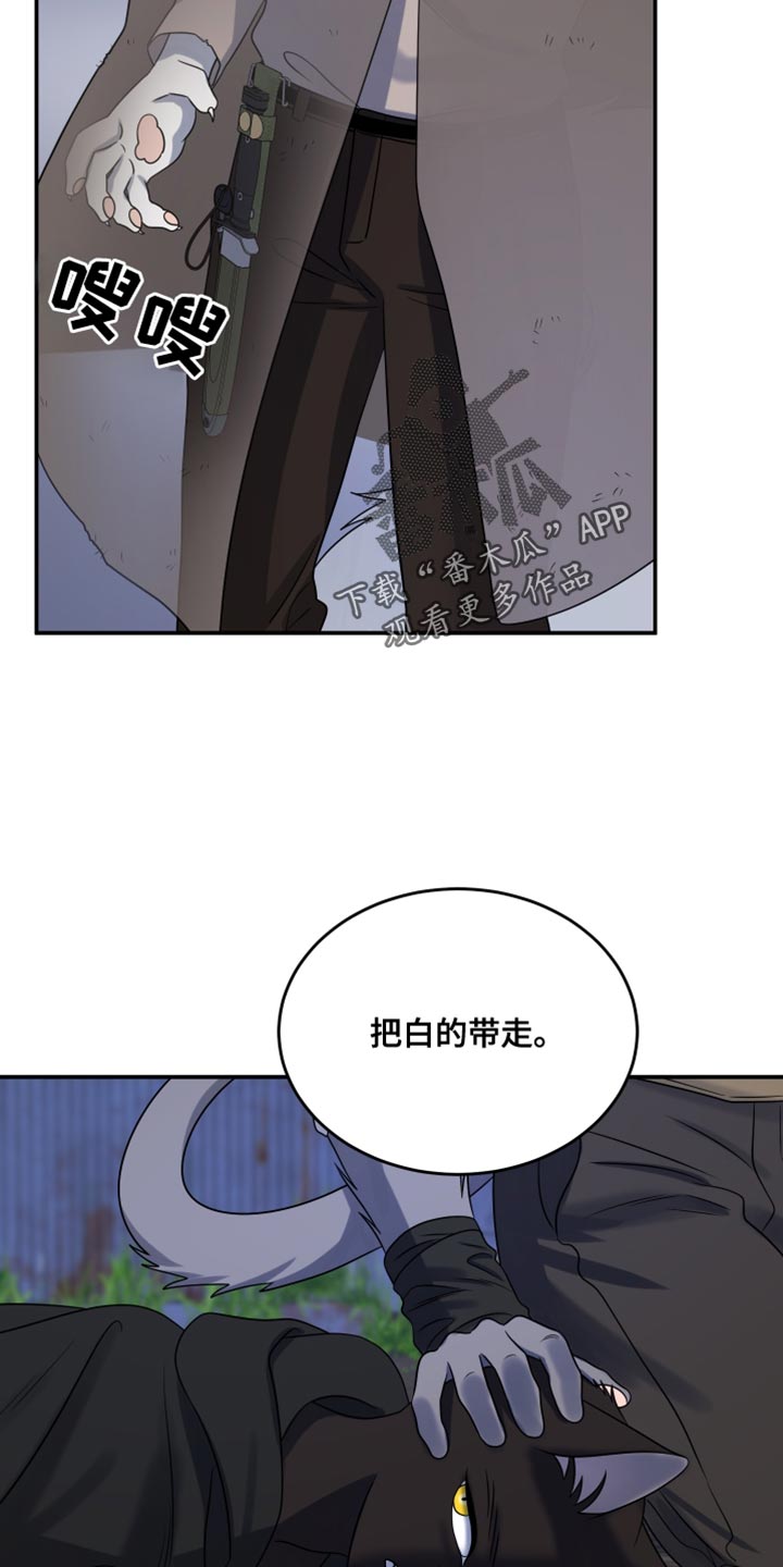 灵猫欧米伽第三季什么时候出漫画,第139话2图