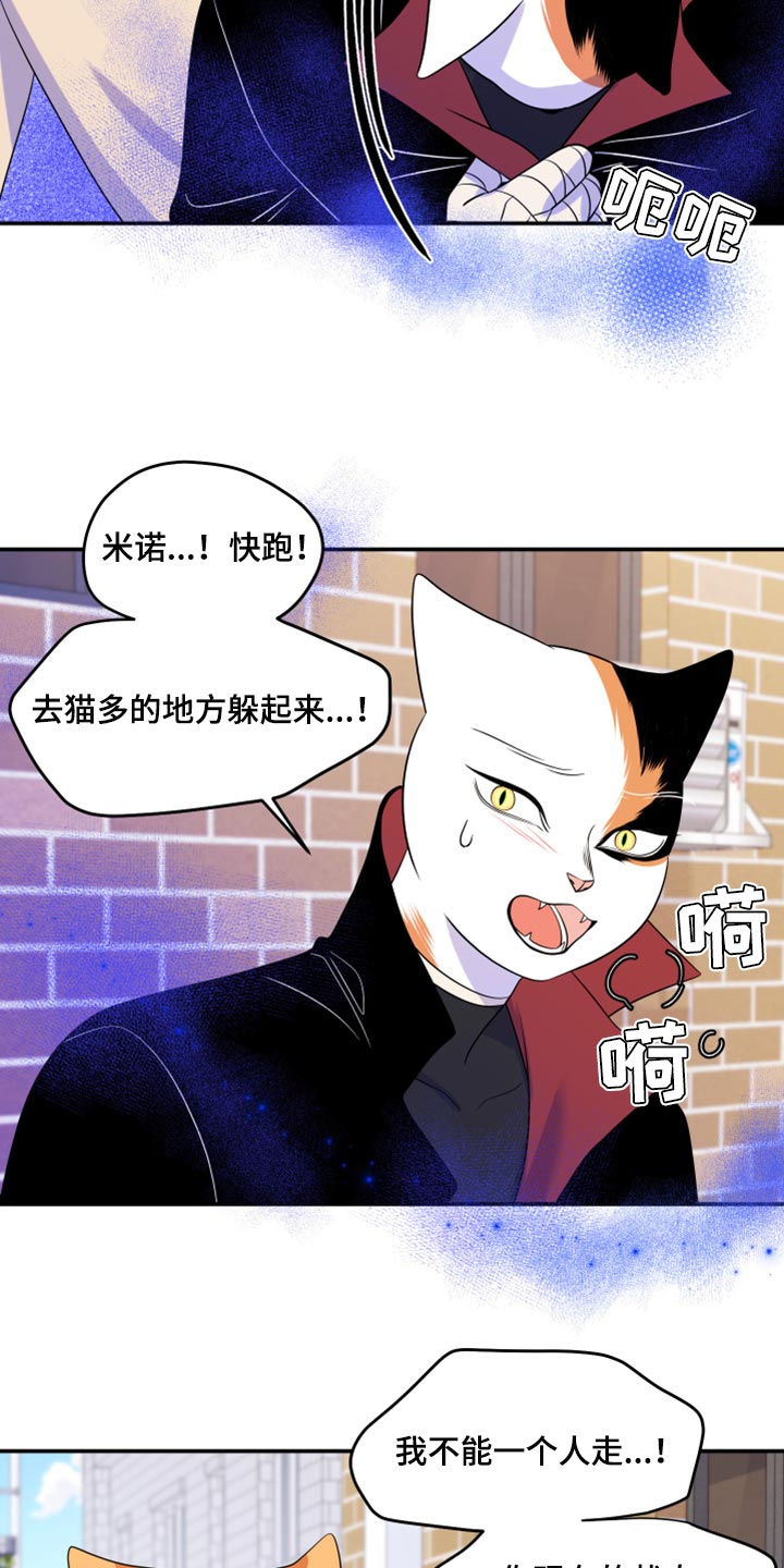 灵猫欧米伽漫画第二季漫画,第49话2图