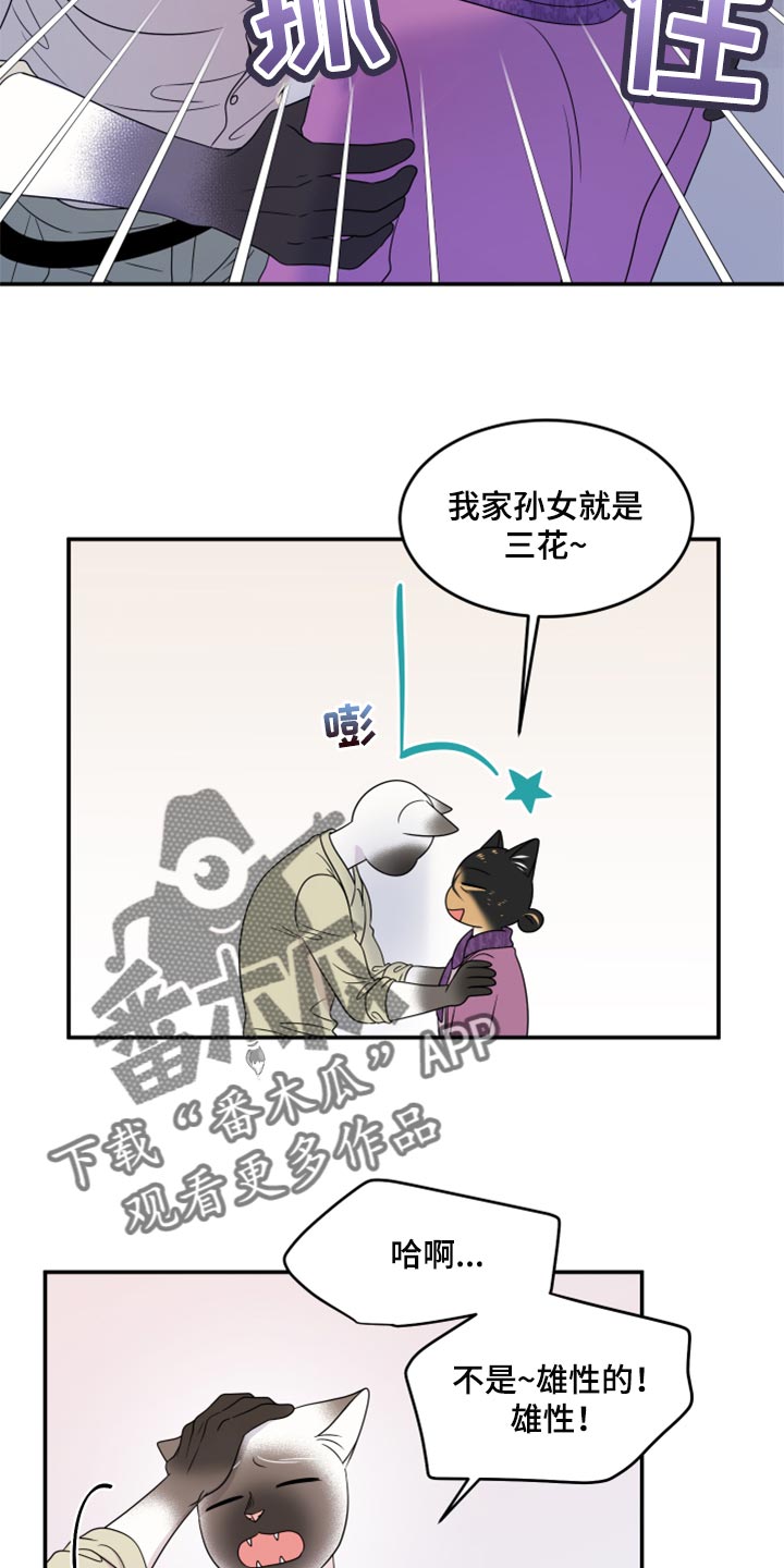 灵猫欧米伽动漫漫画,第55话1图