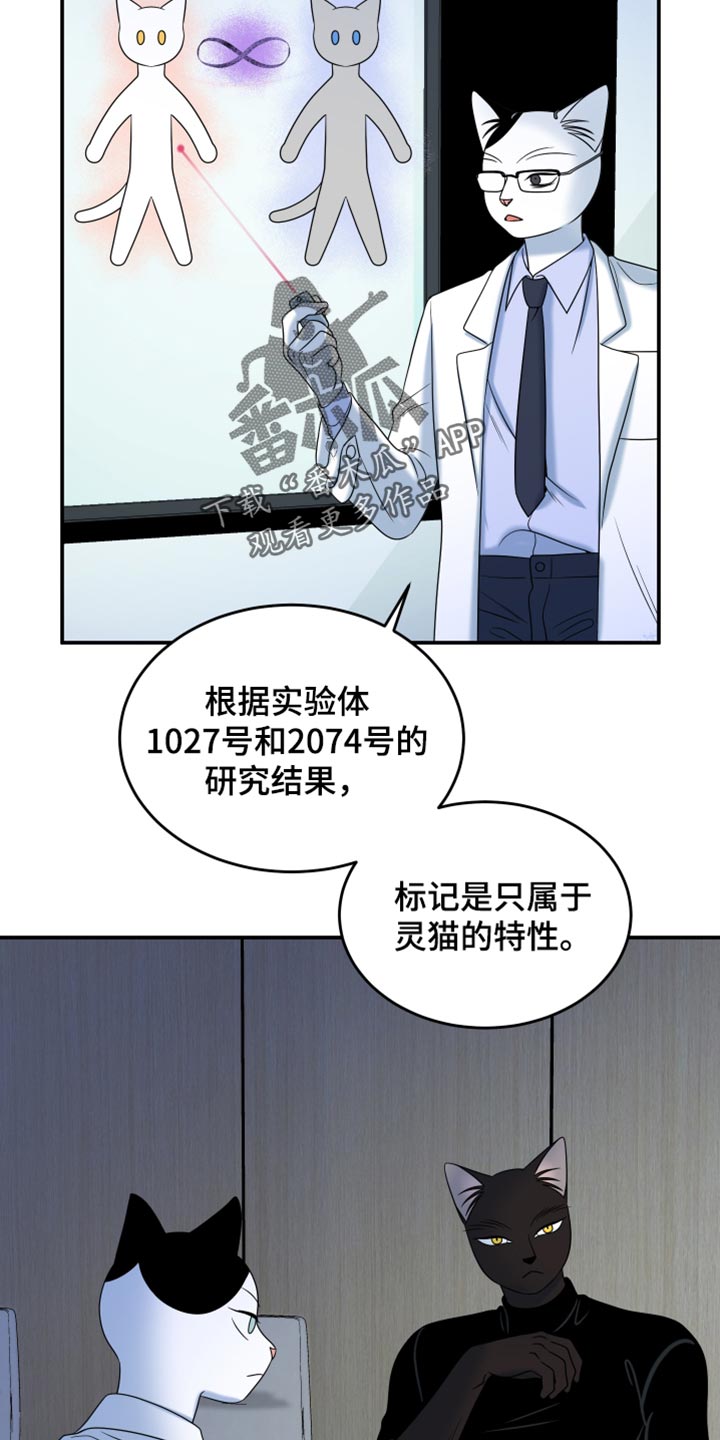 灵猫欧米伽第三季什么时候出漫画,第120话1图