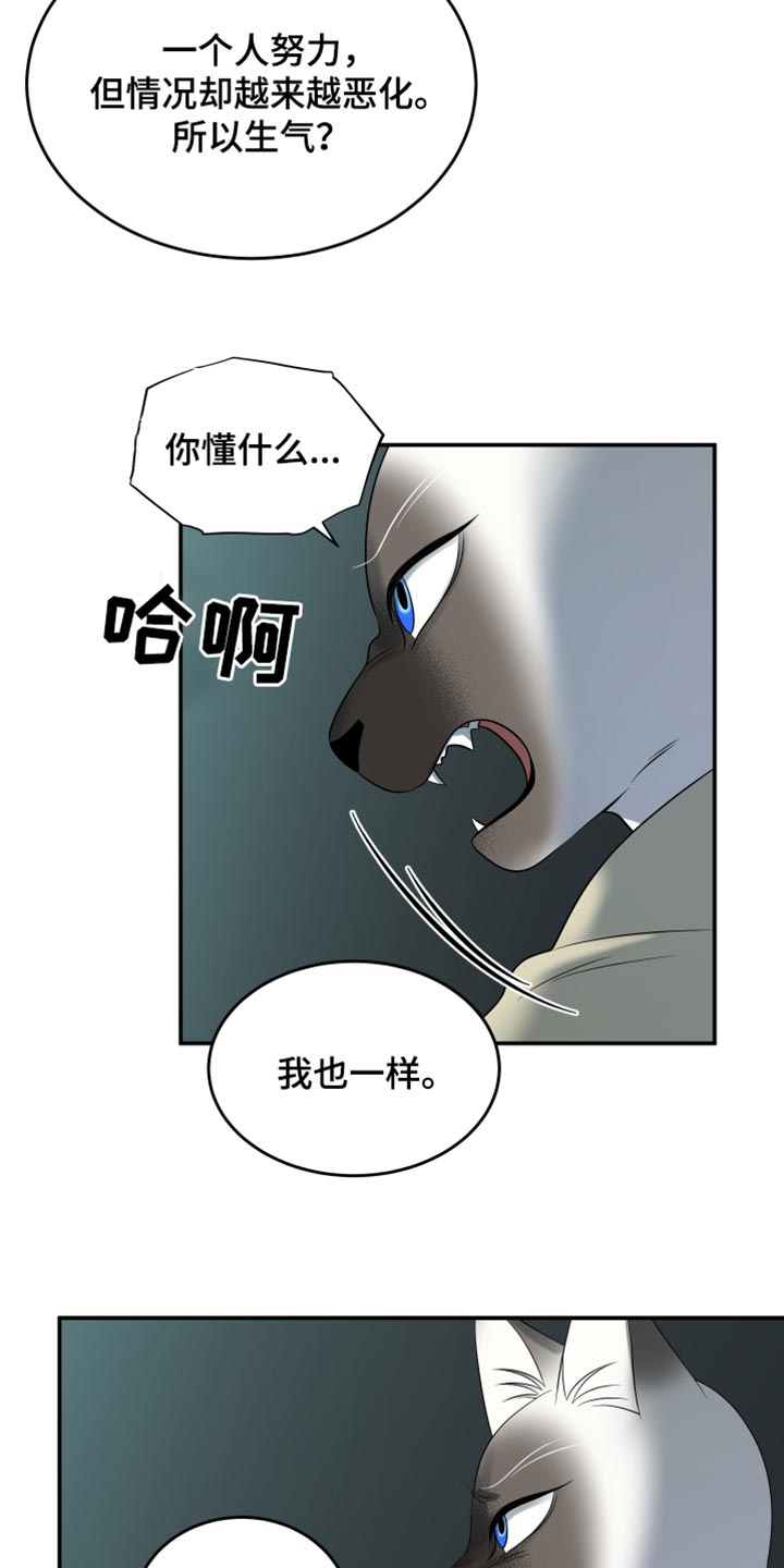 灵猫欧米伽免费阅读漫画,第122话2图