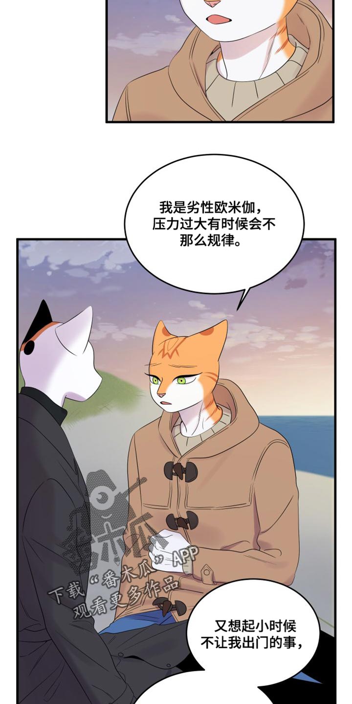 灵猫欧米伽在哪里免费看漫画,第104话1图