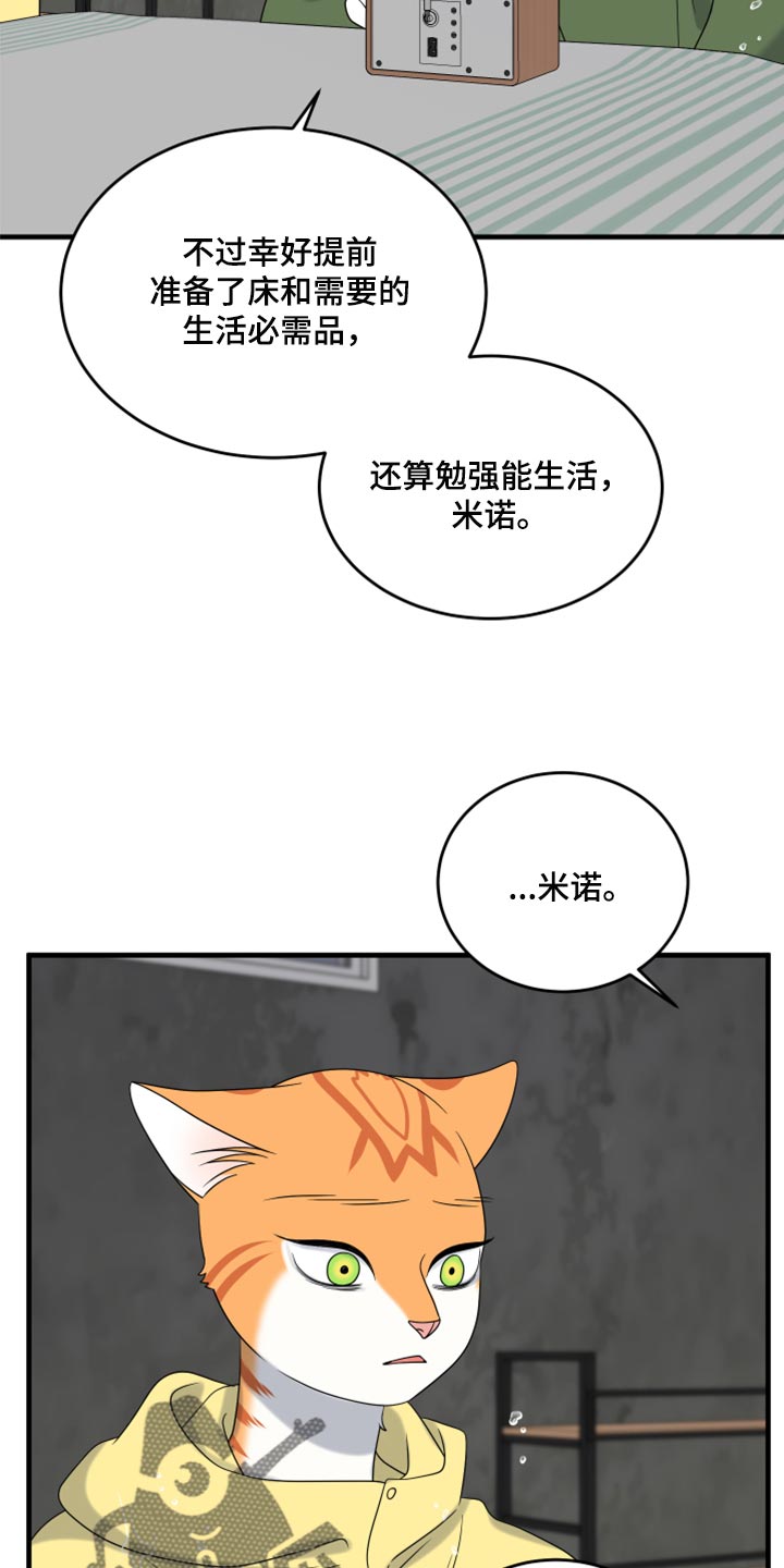 灵猫欧米伽漫画,第88话2图
