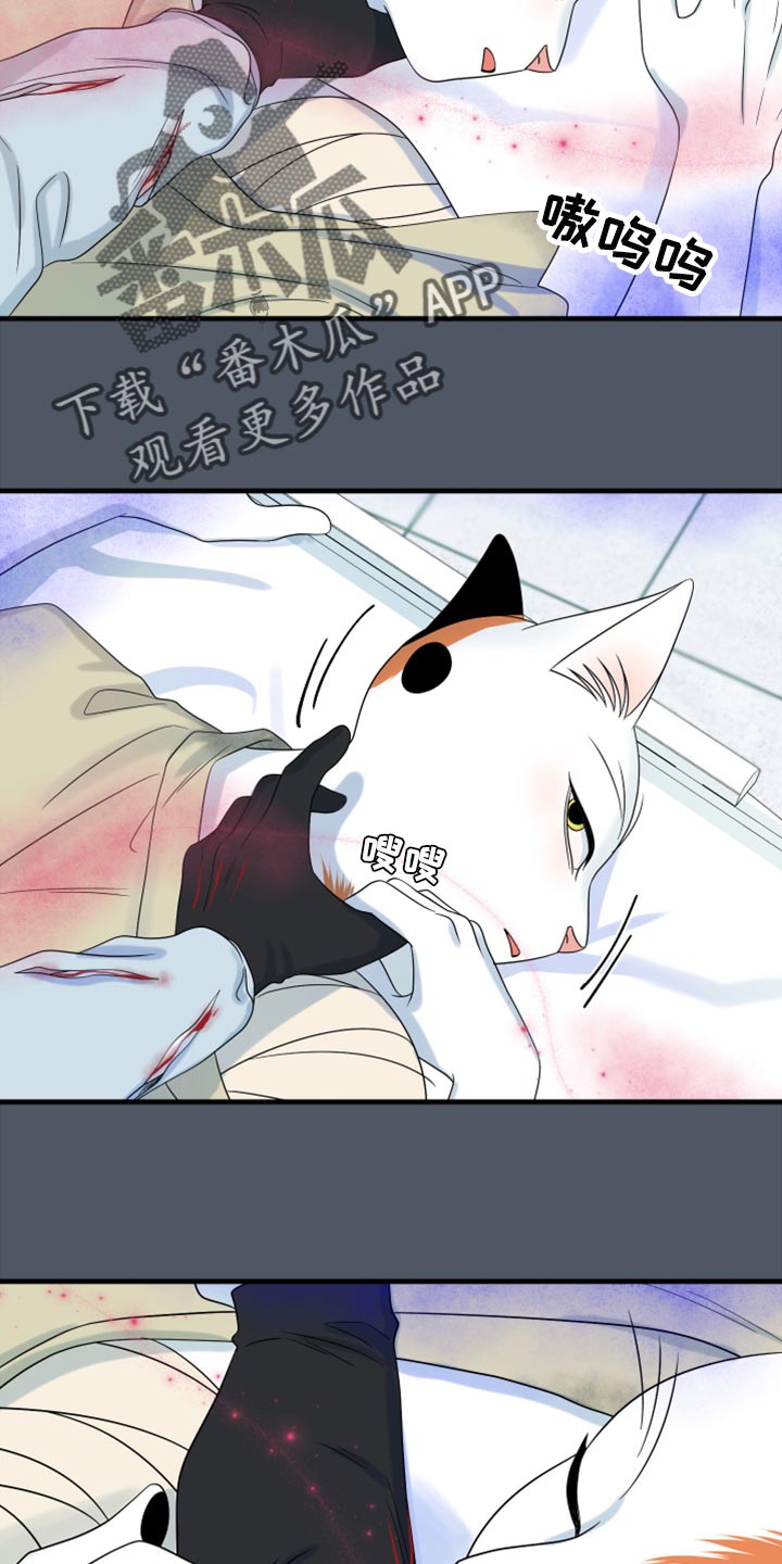 灵猫欧米伽漫画,第85话2图