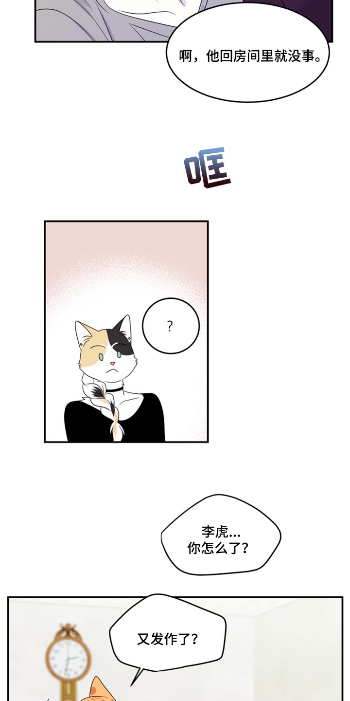 灵猫欧米伽免费阅读漫画,第54话1图