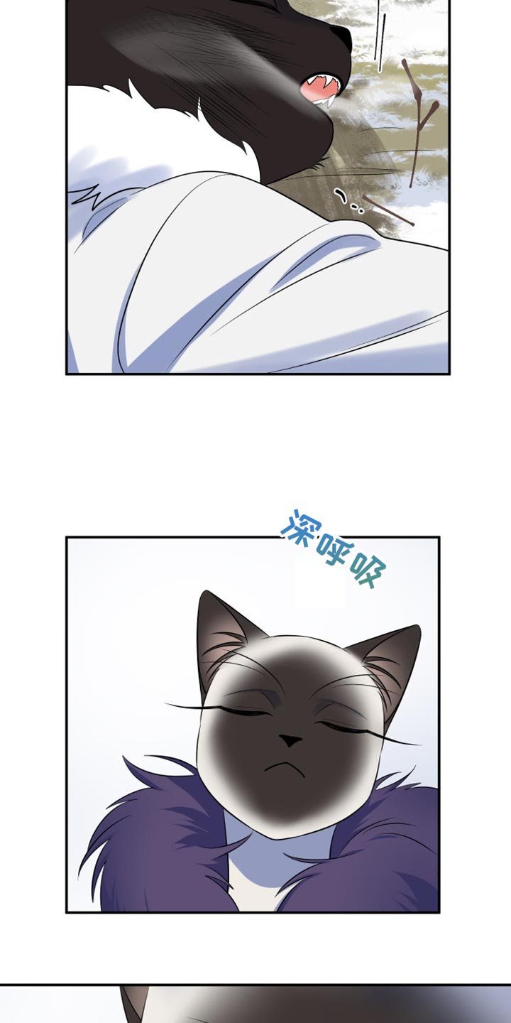 欧米伽3对猫咪有什么作用漫画,第147话1图