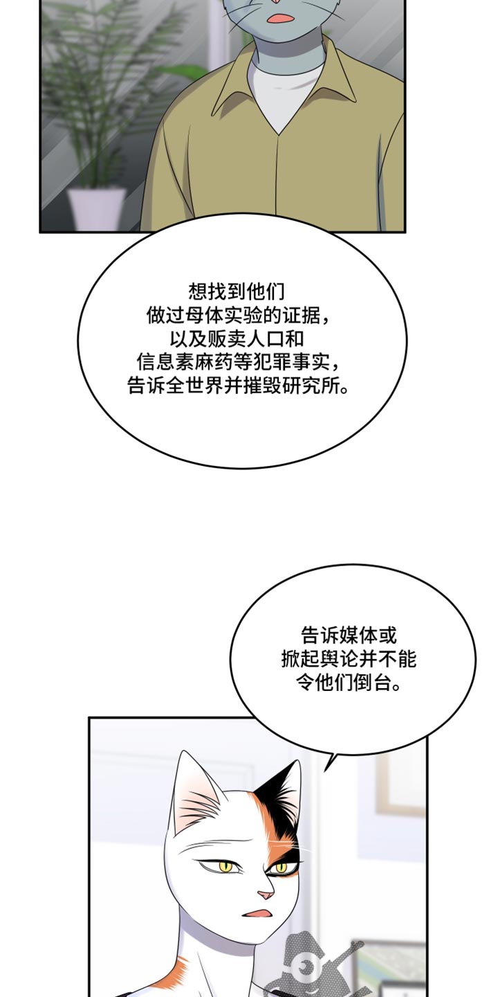 灵猫欧米伽完整版漫画,第117话1图