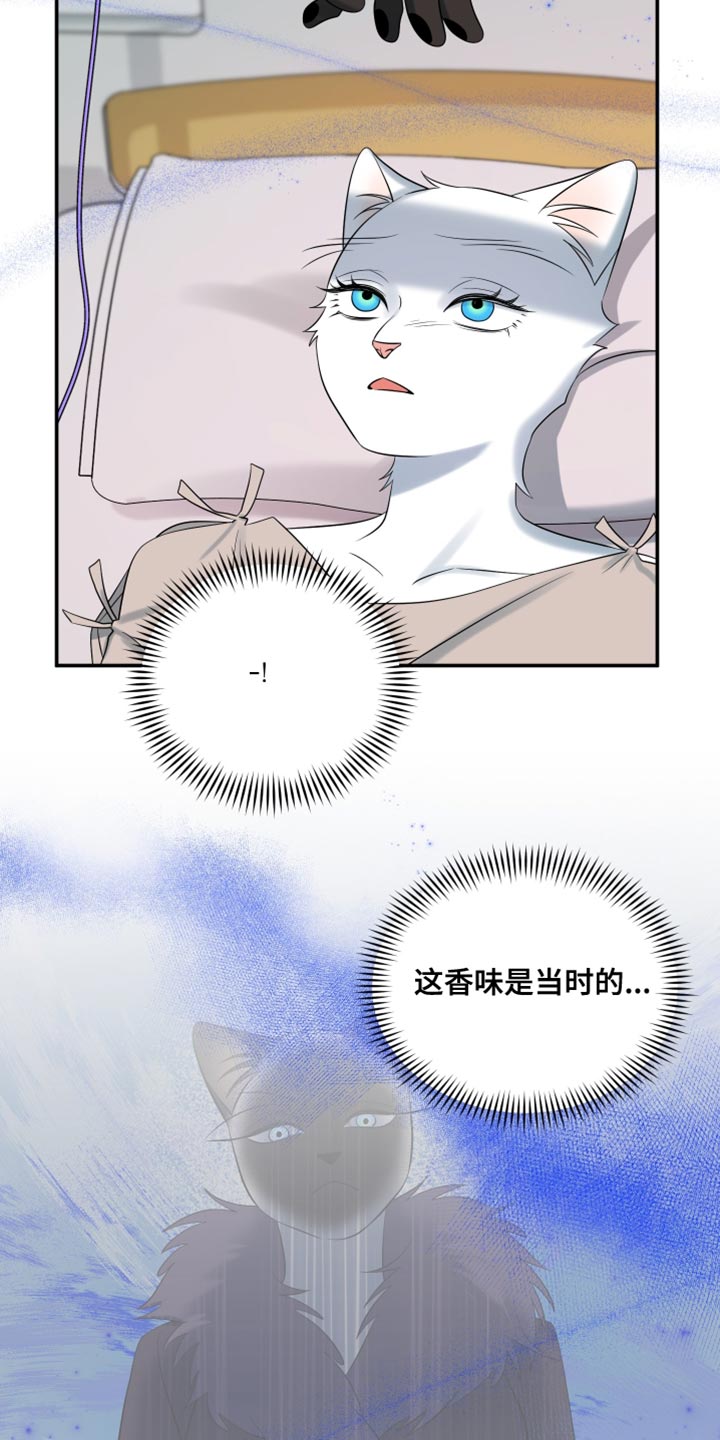 灵猫小说漫画,第150话2图